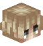 Tête de Auliveer