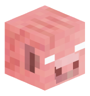 BigPig0495