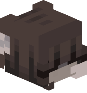CCGOODBOY Minecraft skin