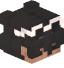 Tête de CHADIDIX