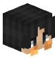 CIOMH's head