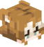 Tête de Candyup_17