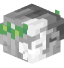 Tête de Cullingan