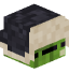 Tête de DARWIX_