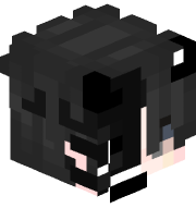 Damipro13