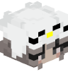 Tete Minecraft de Draxyne