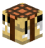 Henri_Crafteur head