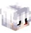Tête de HvK_Adm2014