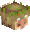 Tête 3D de Initis