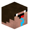 Tete Minecraft de LaCanneDeSucre