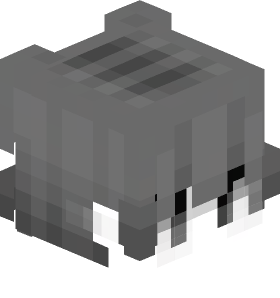 LilB0bby Minecraft skin