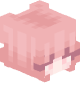 MainAnchorCheats's head