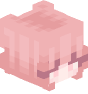 MainAnchorCheats's head