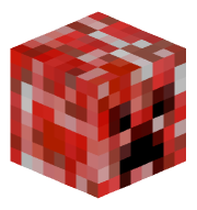 skin gracza