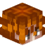 Tête de McBranoss