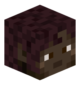 Minecraft Skin von Michail