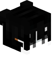 skin gracza Miz3x