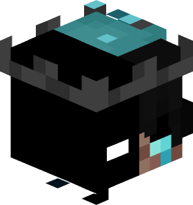 P1xelLT_ Minecraft skin