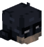 Tête de PASIR7dgr8xdy729