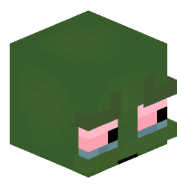 Minecraft Skin von Paul