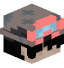 Pilotoo head