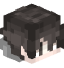 Tête de Pythagus