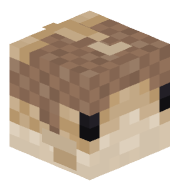RamiMC1