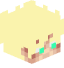 Tête de Rifam61