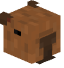 Tête de Rina_Capybara