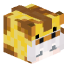 Tête de SamleLion
