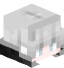 Tête de Shadow_Real1