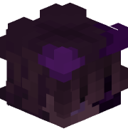 SingularityMCYT