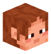 Tête 3D de Skewgas