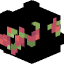Tête de Spexxyl1