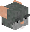 Tête 3D de Stargameur29