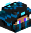 Tête de Superchips56