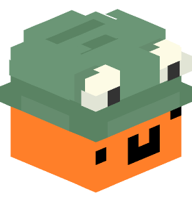 T0mth3fr0g Minecraft skin