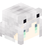 skin gracza TOP2