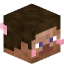 Tête de Themmys