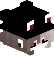VividLilyBug949's Minecraft head