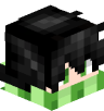 Tete Minecraft de Vixorya