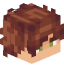 Tête de Wifuse