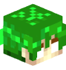Tete Minecraft de XaynixMc