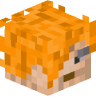 Tete Minecraft de Zonzomby