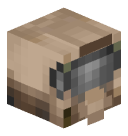 Skin de Zorix - BattleAdventure