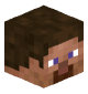 Zoulfikar's head