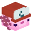 Tête de _2ndAccount