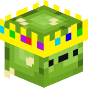 Acxer01