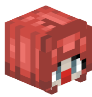 nvmcarson