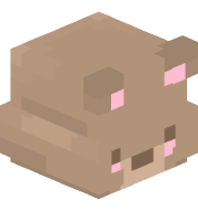 super_apricot